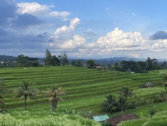 jatiluwih bali