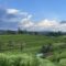 jatiluwih bali